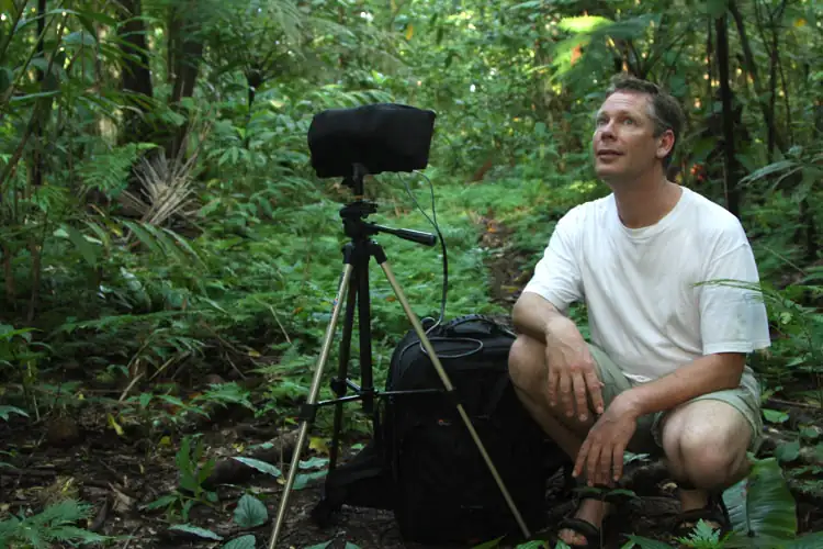 Andrew Skeoch en El RUIDO es el Mensaje, 2024